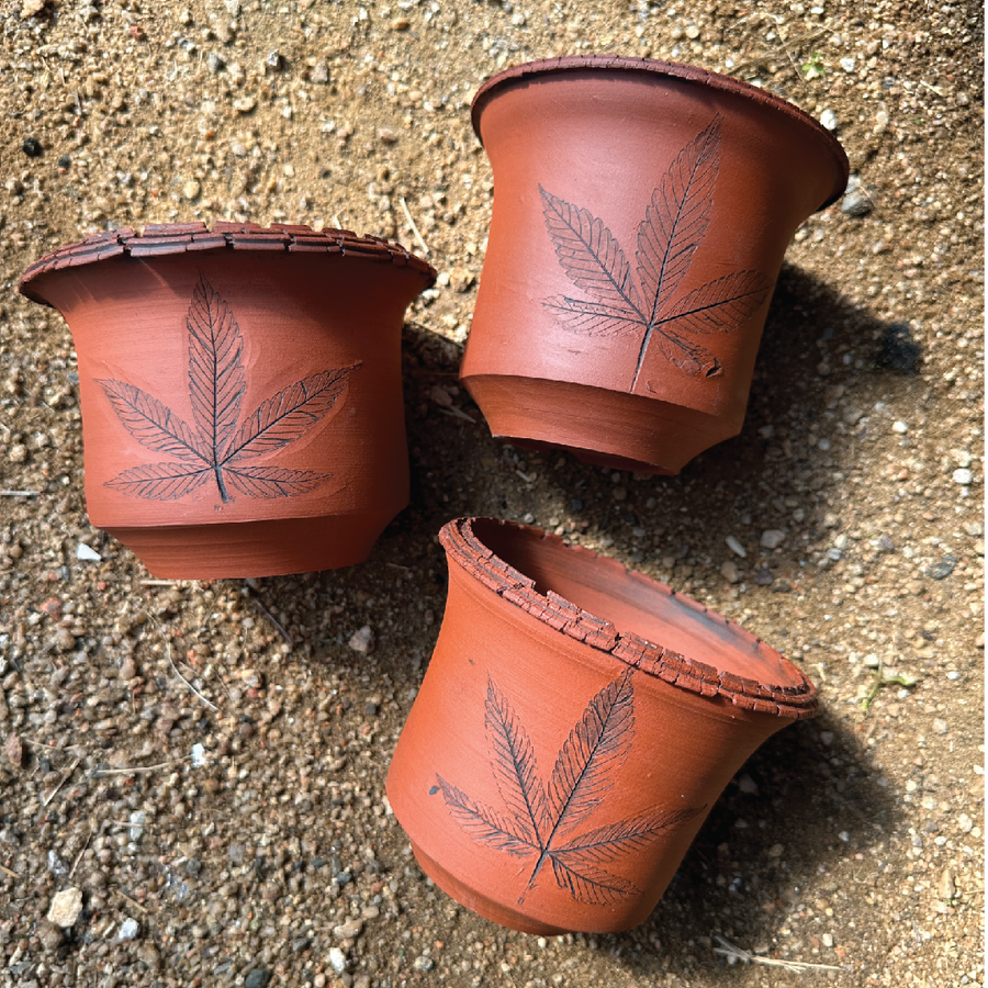 'Leaf Pot' Medium (Red)