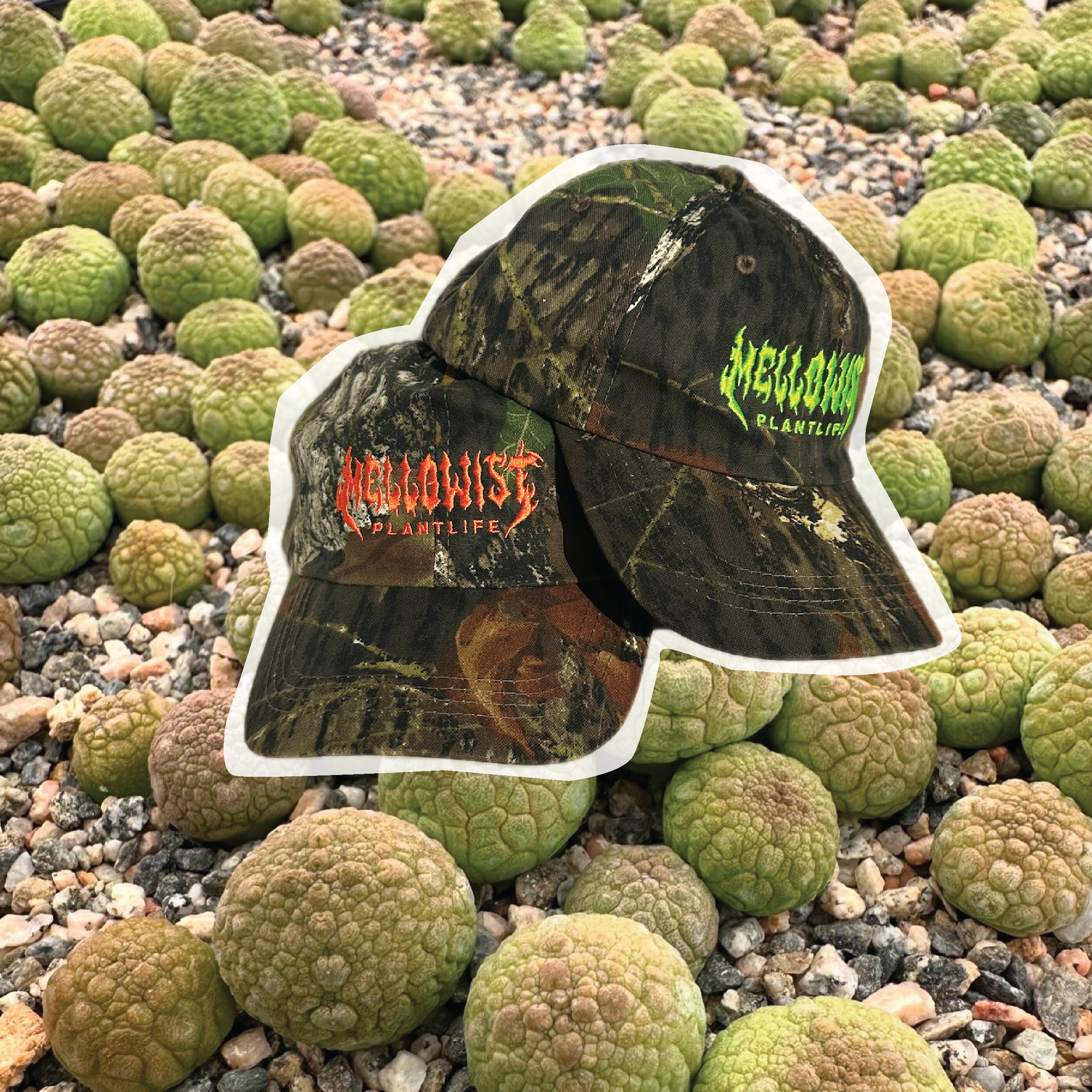 Visions' Hat (Realtree Camo) – MELLOWIST