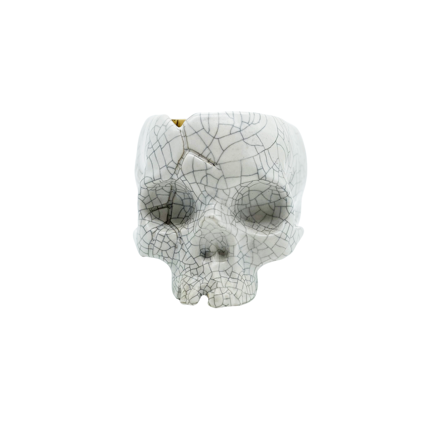 'Broken Skull Planter' (Crackle)
