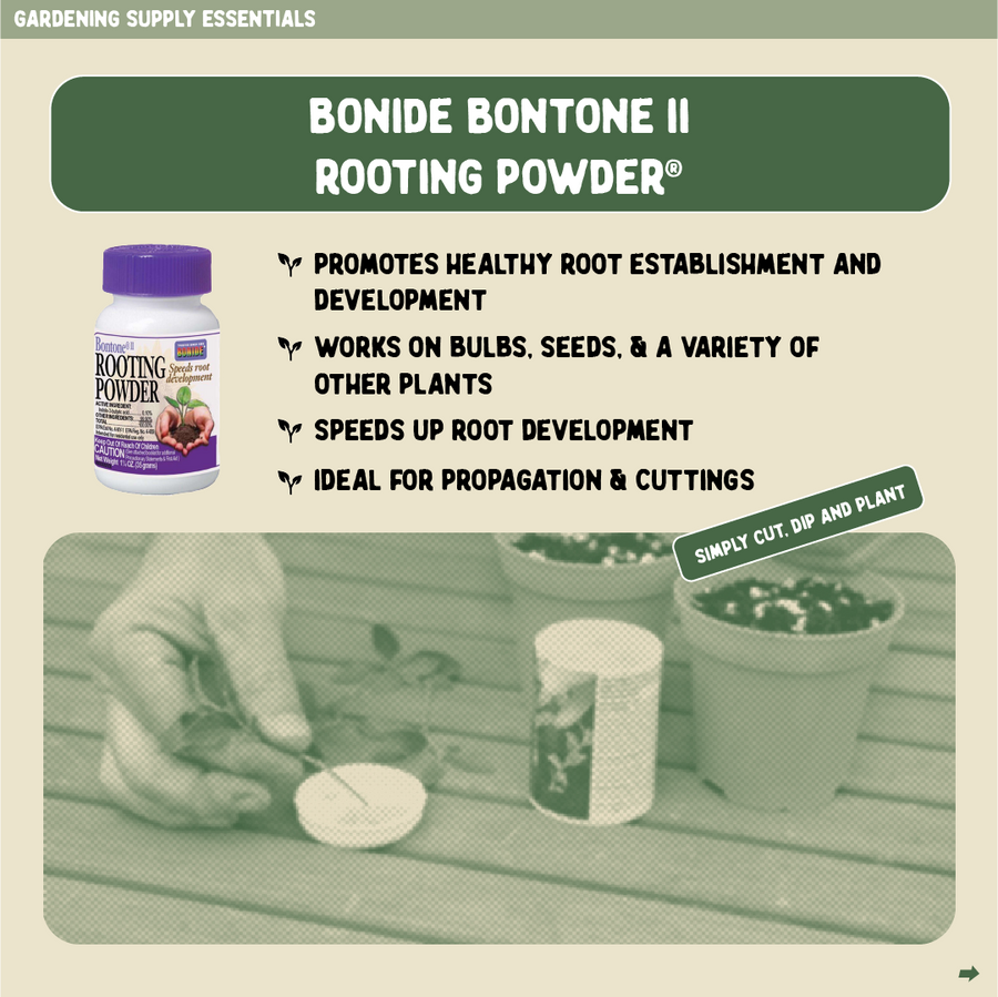 'Bondie 1.25oz Root Powder'