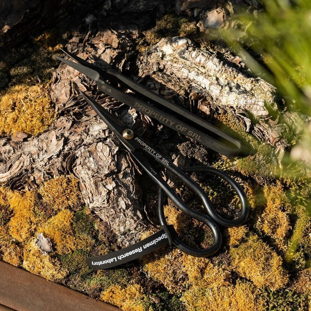 Hakari Gardening Hand Pruner' SRL x Kaneshin (Black) – MELLOWIST