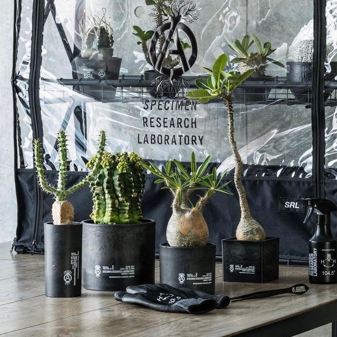 black cube plant pots 'Cube Type Plant Pot-M' SRL (Black)