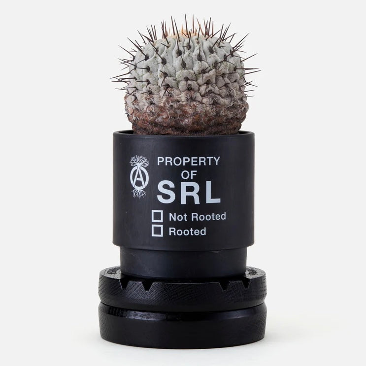 'Rotary WoodStand' NH X LFE SRL (Black)