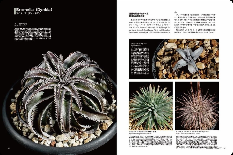 'Living with Bizarre Plants' Japan Import