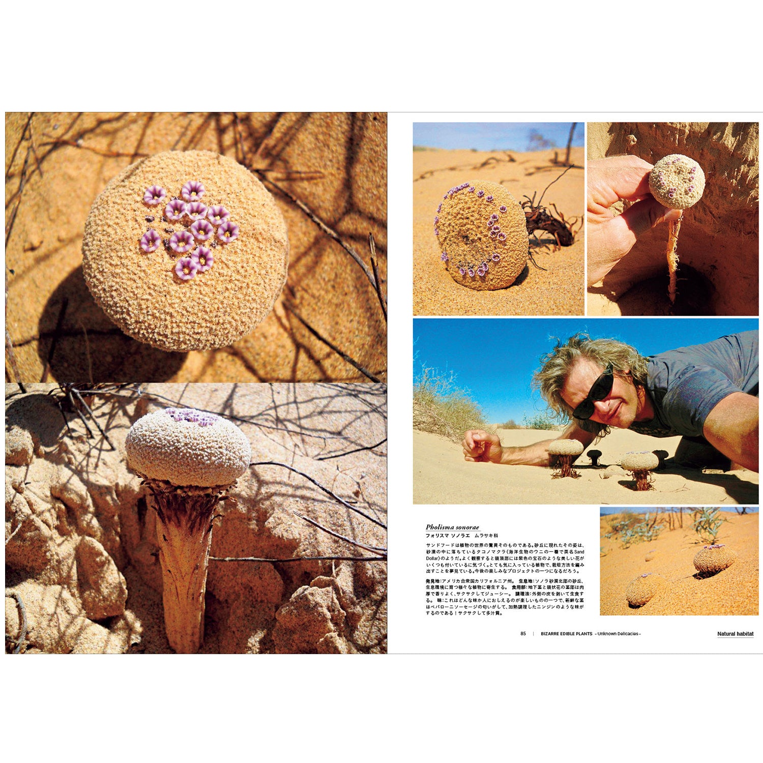 'Bizarre Edible Plants' Japan Import (Book)