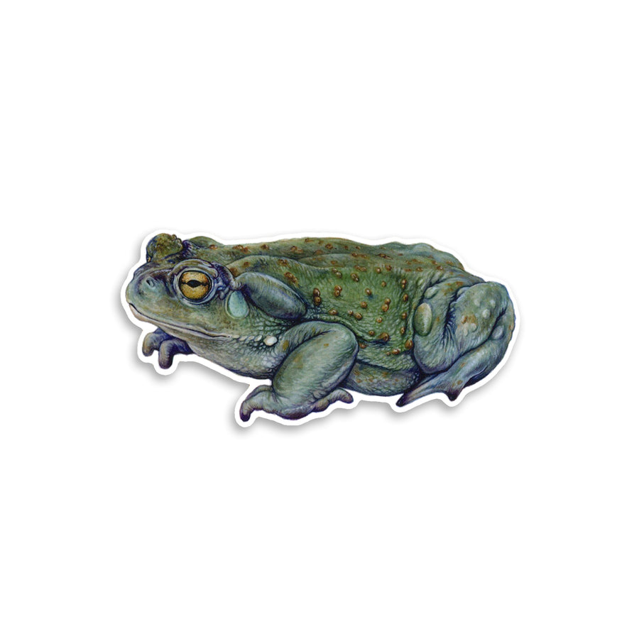 'Sacred Toad' Botanical Sticker