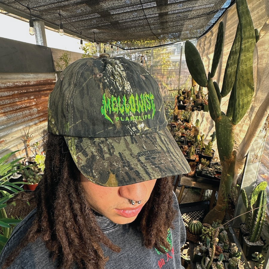 'Visions' Hat (Realtree Camo)