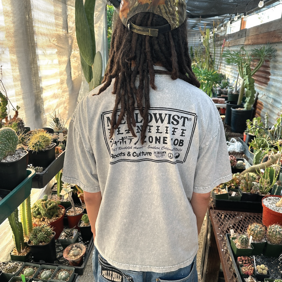 'Plantlife' T (Washed Limestone)