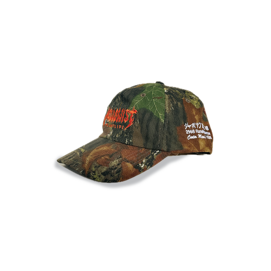 'Visions' Hat (Realtree Camo)