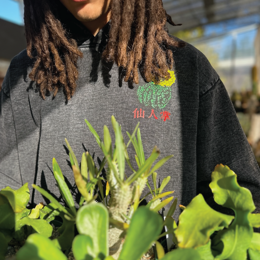 'Plantlife' Hoodie (Acid Wash Black)