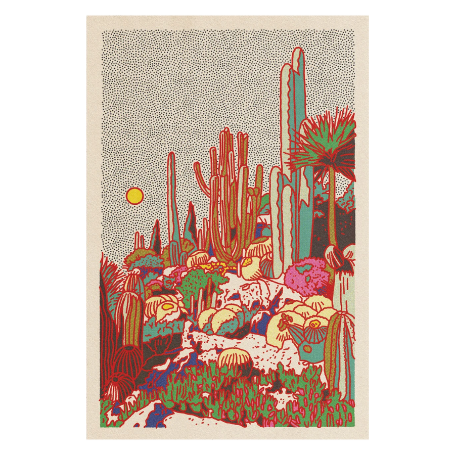 'Cactus Planet' 24