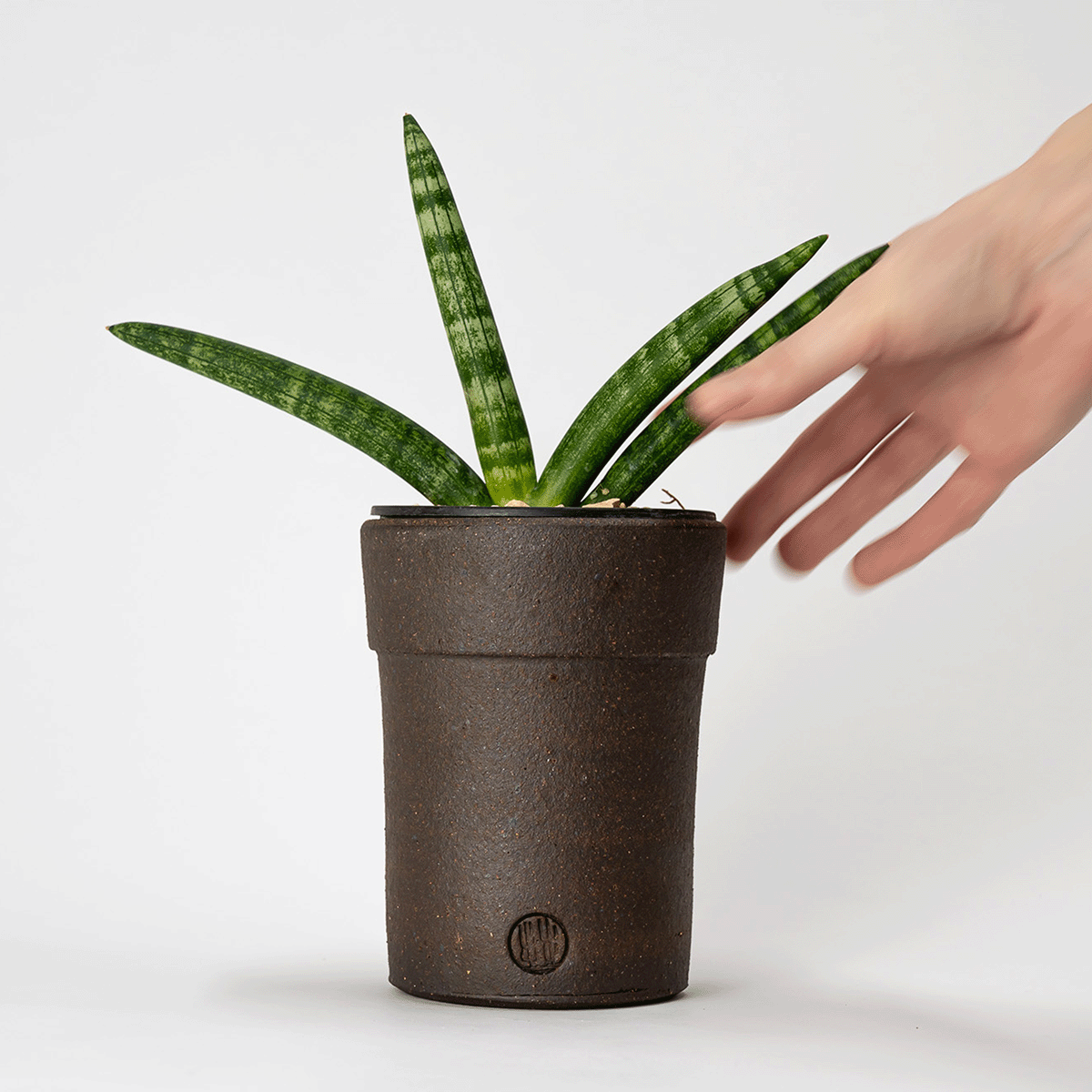 Black River' Mellowist Planter (TALL) – MELLOWIST