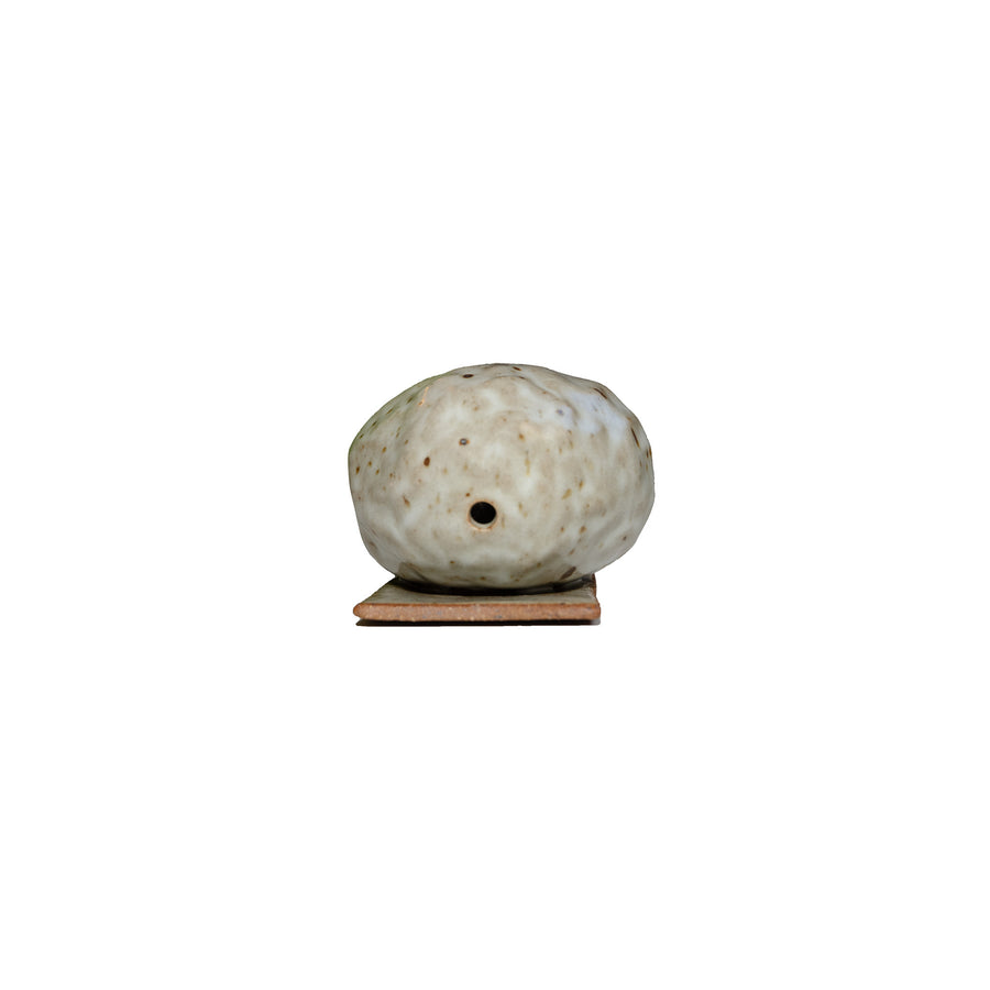 'Ceramic Wall Hanging Plant holder' (White w/ Brown) Small Diana M.