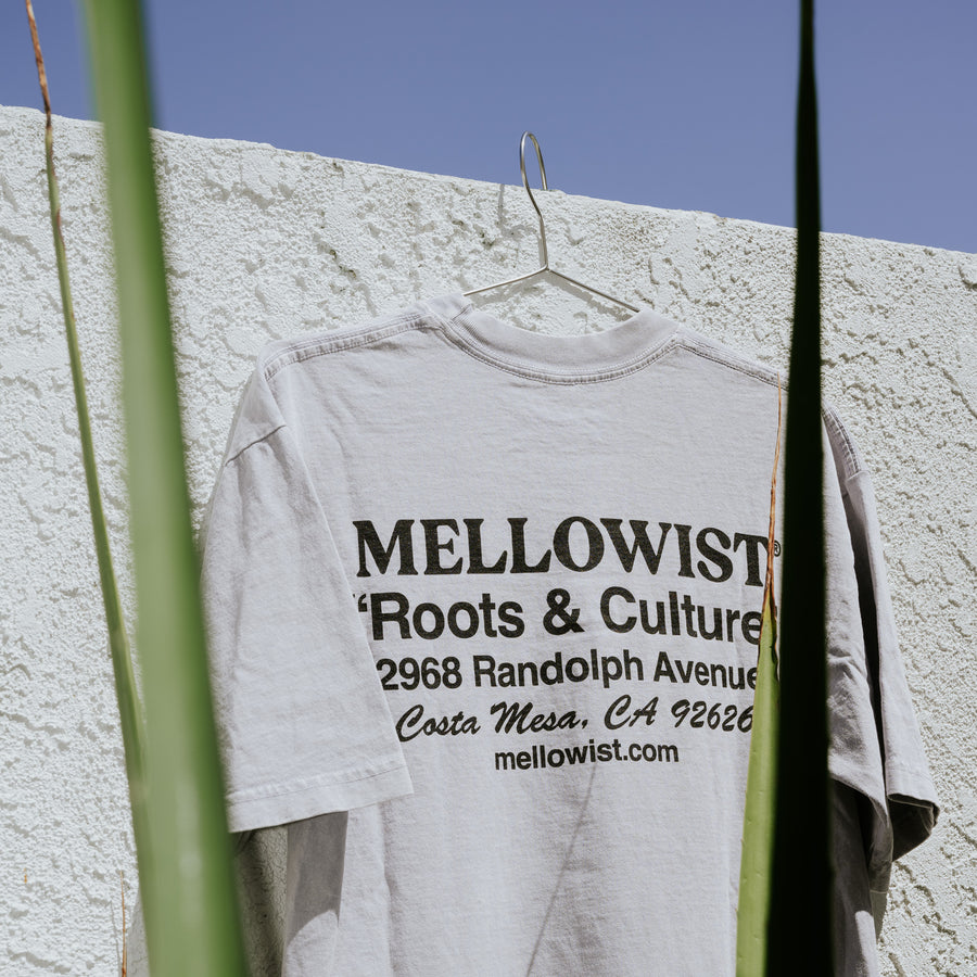 'Roots' Mineral Wash T-Shirt (Ice)