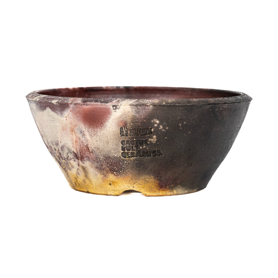 'Cactus Cult Ceramics' Planter Low Bowl 4