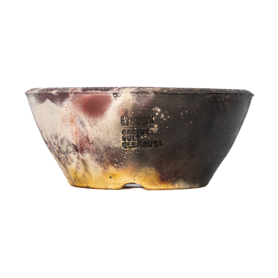 'Cactus Cult Ceramics' Planter Low Bowl 4