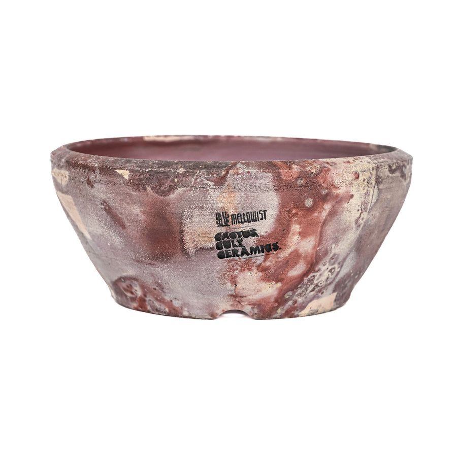 'Cactus Cult Ceramics' Planter Low Bowl 3