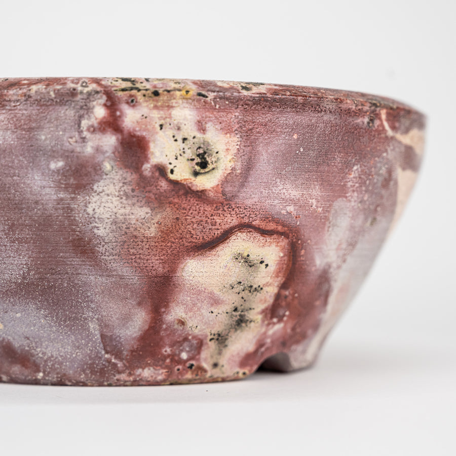 'Cactus Cult Ceramics' Planter Low Bowl 3