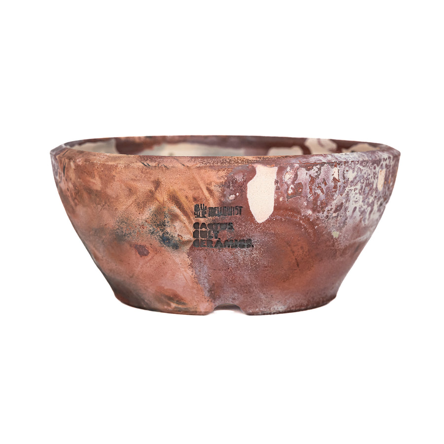 'Cactus Cult Ceramics' Planter Low Bowl 1