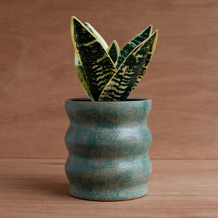 'Stoneware Tall Planter' (Turquoise) Pottery by Emily Davis