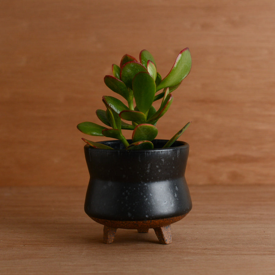 'Curve Footed Stoneware Planter' (Matte Black) Pottery by Emily Davis