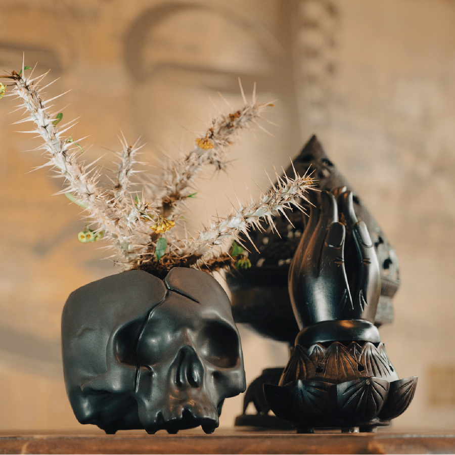 'Broken Skull Planter' (Satin Black)