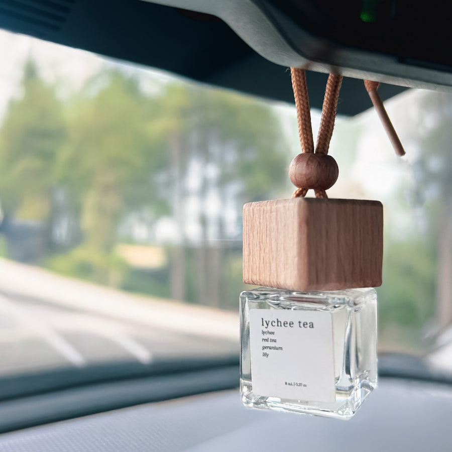 'Hanging Car Diffuser'