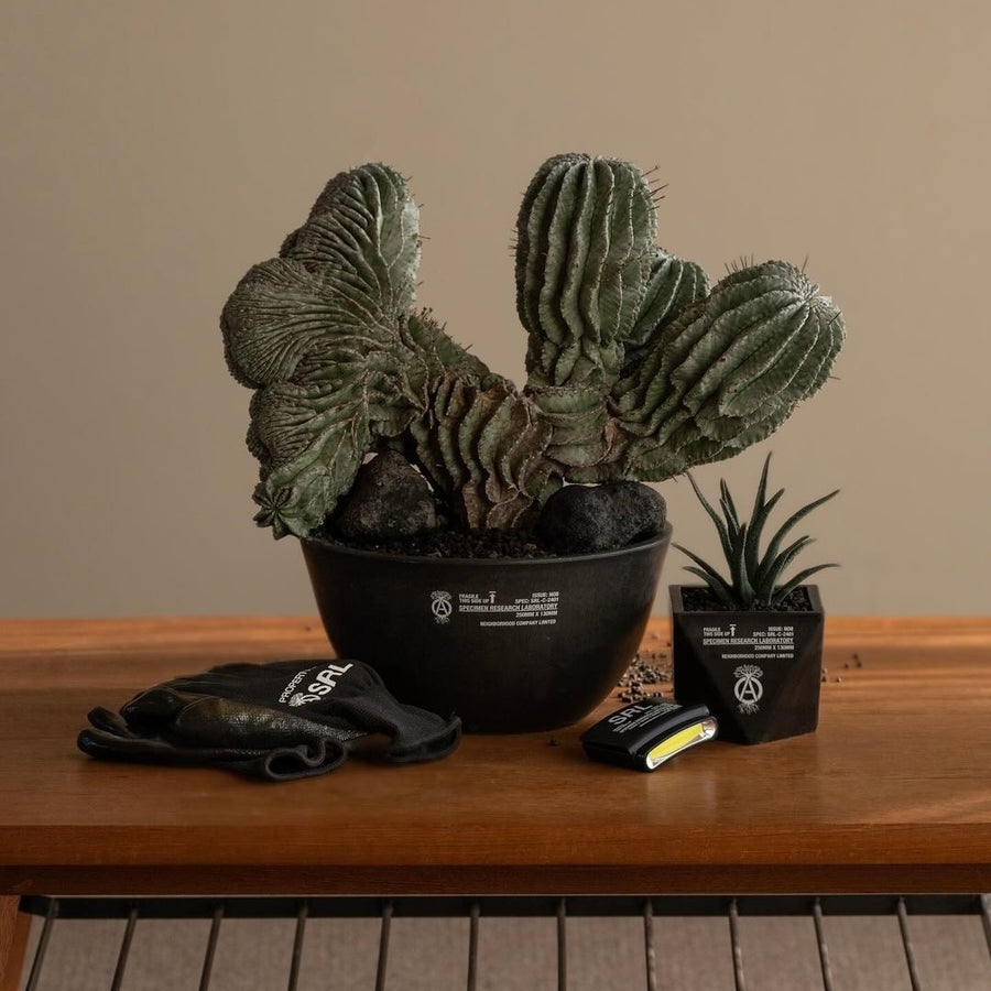 polygon plant pot 'Polygon Type Plant Pot' SRL (Black)