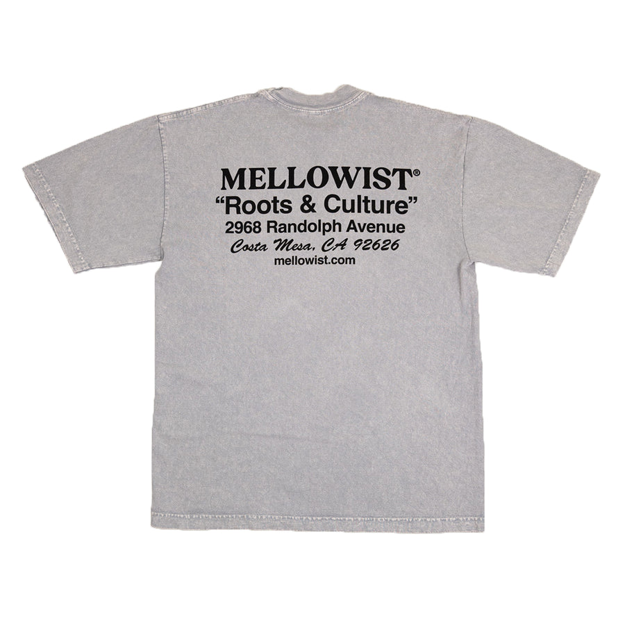 'Roots' Mineral Wash T-Shirt (Ice)