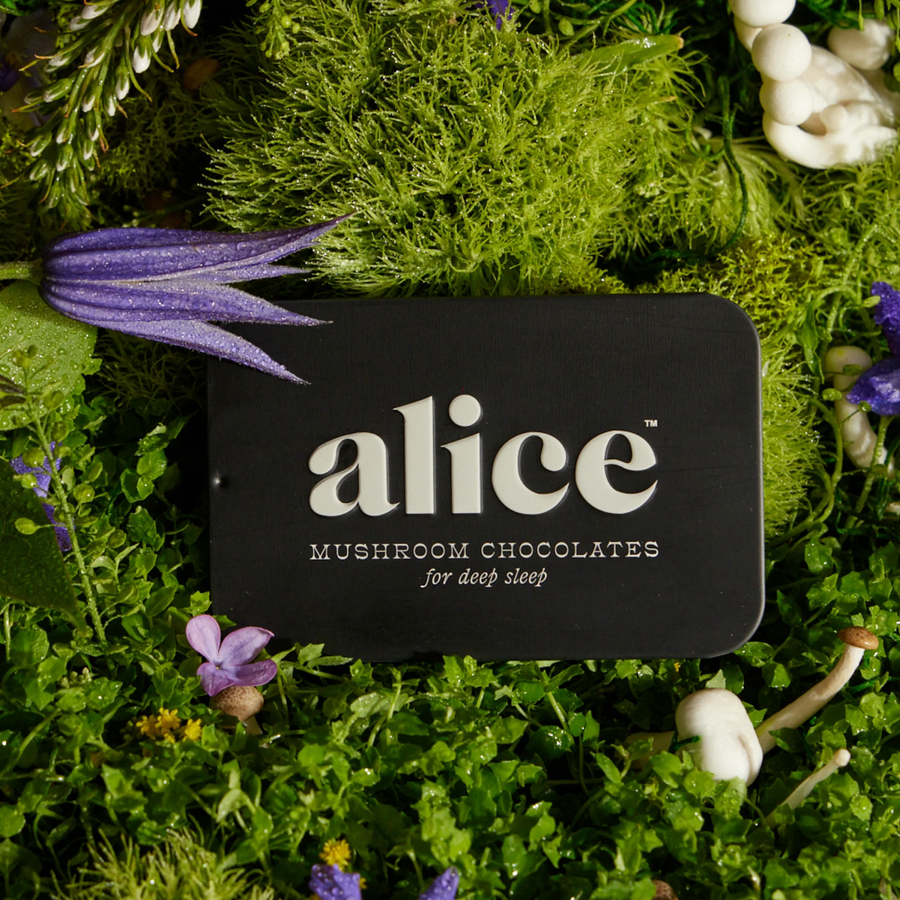 Alice Mushroom Chocolates 'Nightcap'