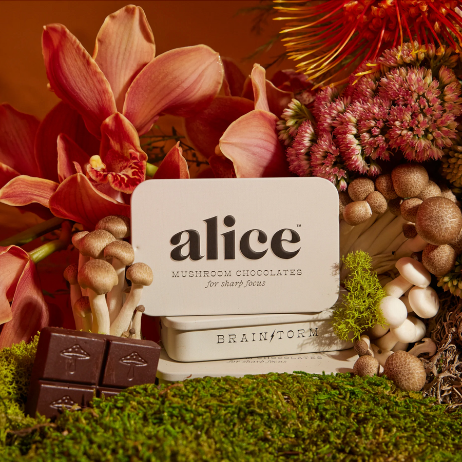 Alice Mushroom Chocolates 'Brainstorm'