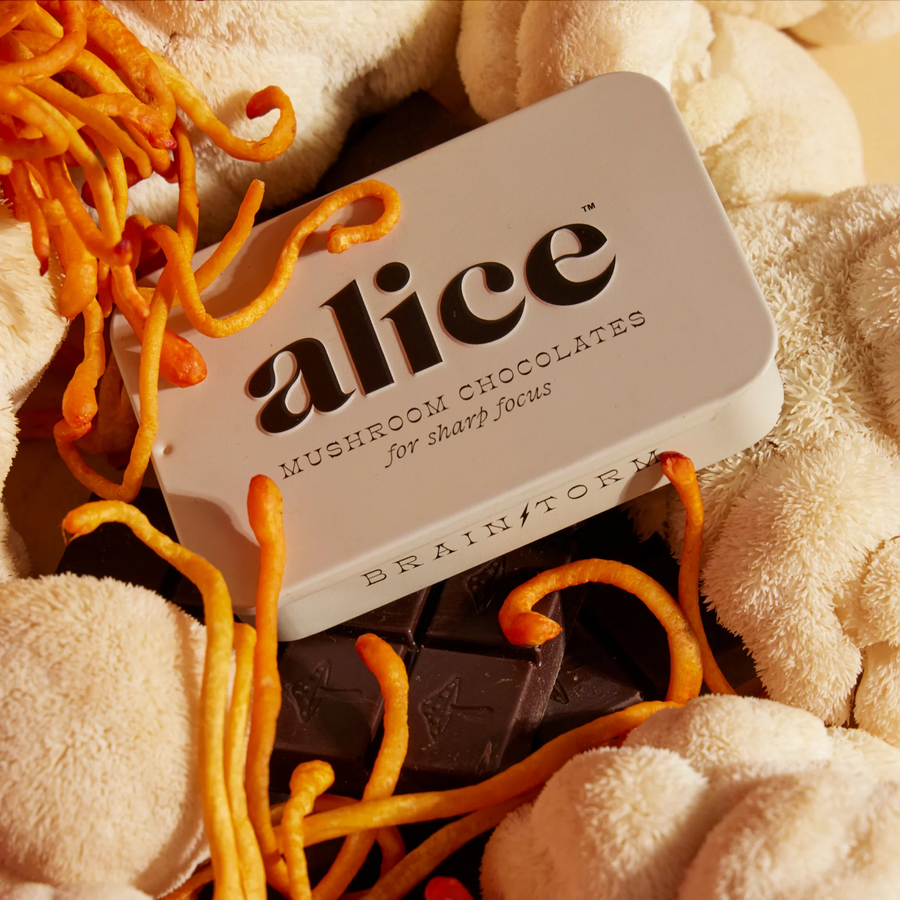 Alice Mushroom Chocolates 'Brainstorm'