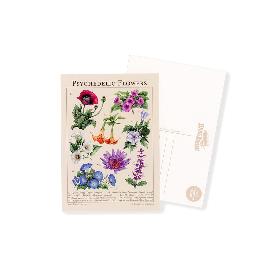 'Psychedelic Flower' Botanical Postcard