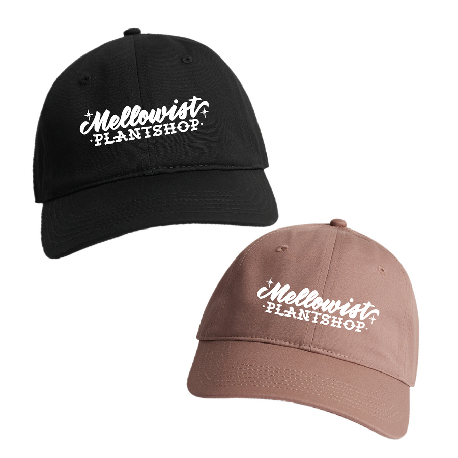 'Cursive Shop' Hat