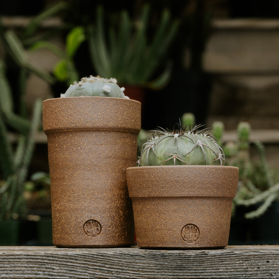 'Red River' Mellowist Planter (TALL)