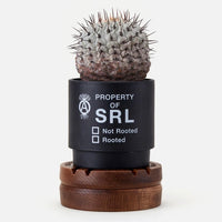 Rotary WoodStand' NH X LFE SRL (Wood) – MELLOWIST