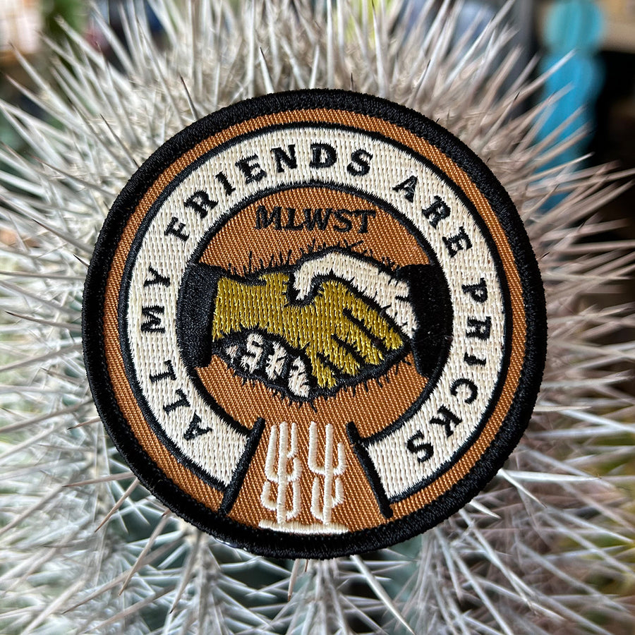 'All My Friends'  Embroidered  Patch