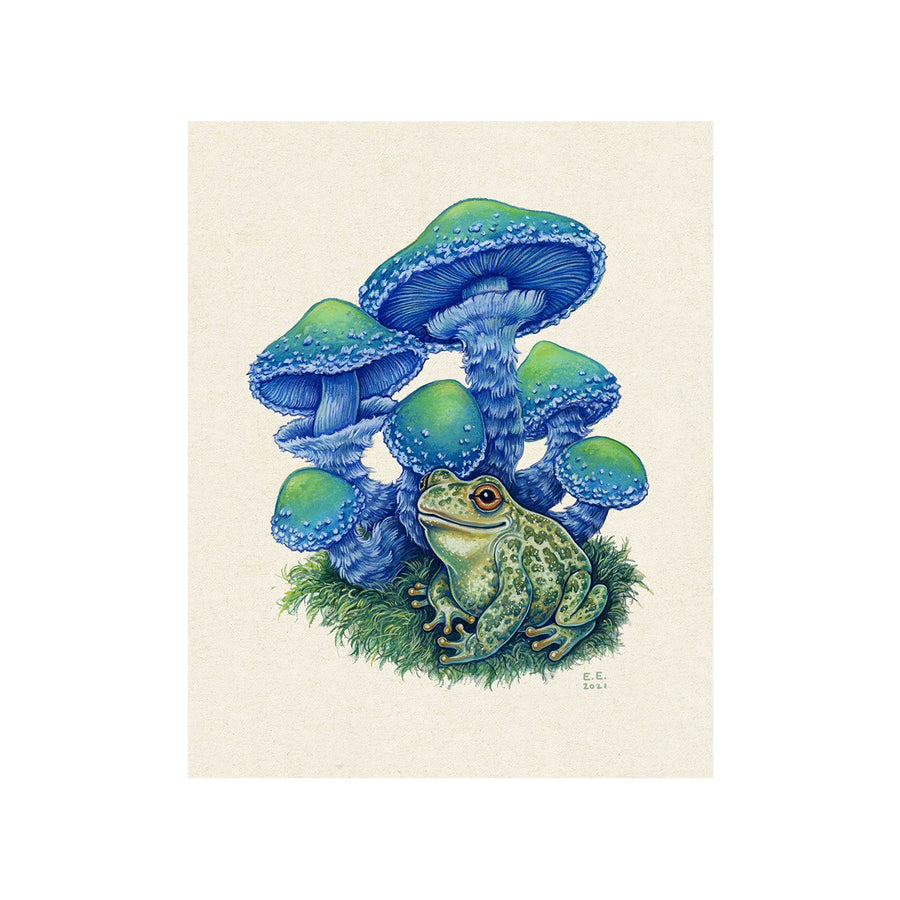 'Toad and Teal Mushrooms' '8x10