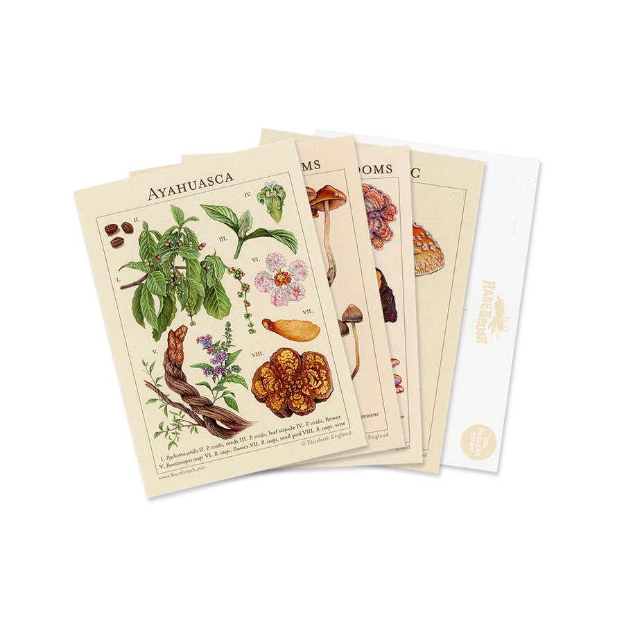 'Botanical Postcard Set'