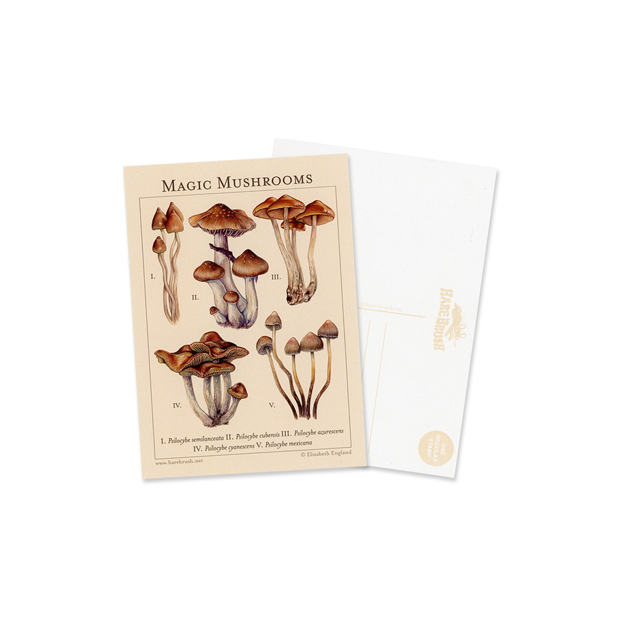 'Magic Mushrooms' Botanical Postcard