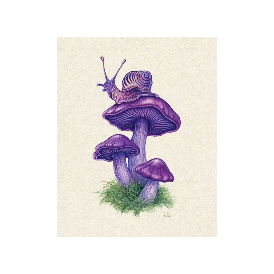 'Snail and Purple Mushroom' '8x10